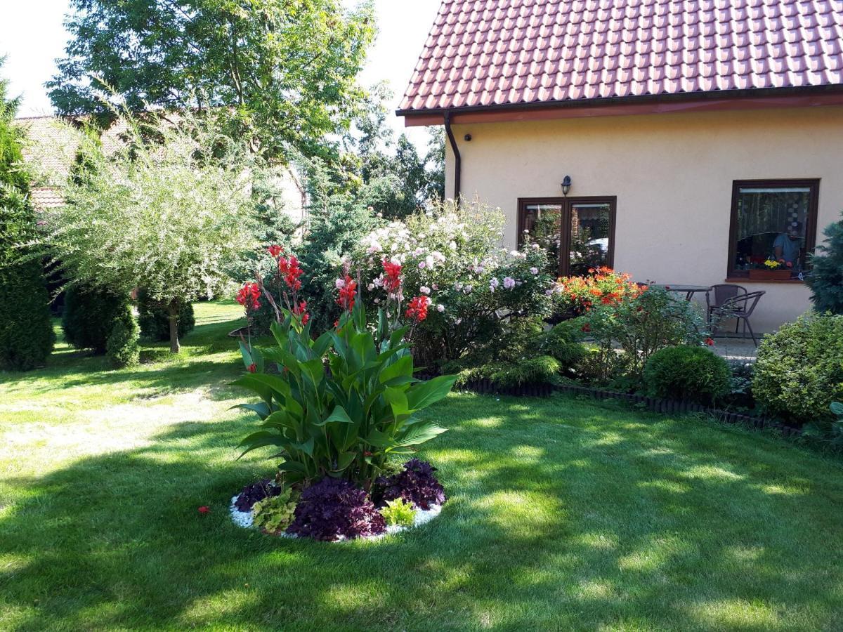 Agroturystyka Druzno Elblag Exterior foto